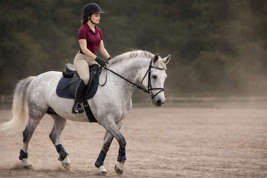Rutinas de entrenamiento progresivas para caballos jóvenes