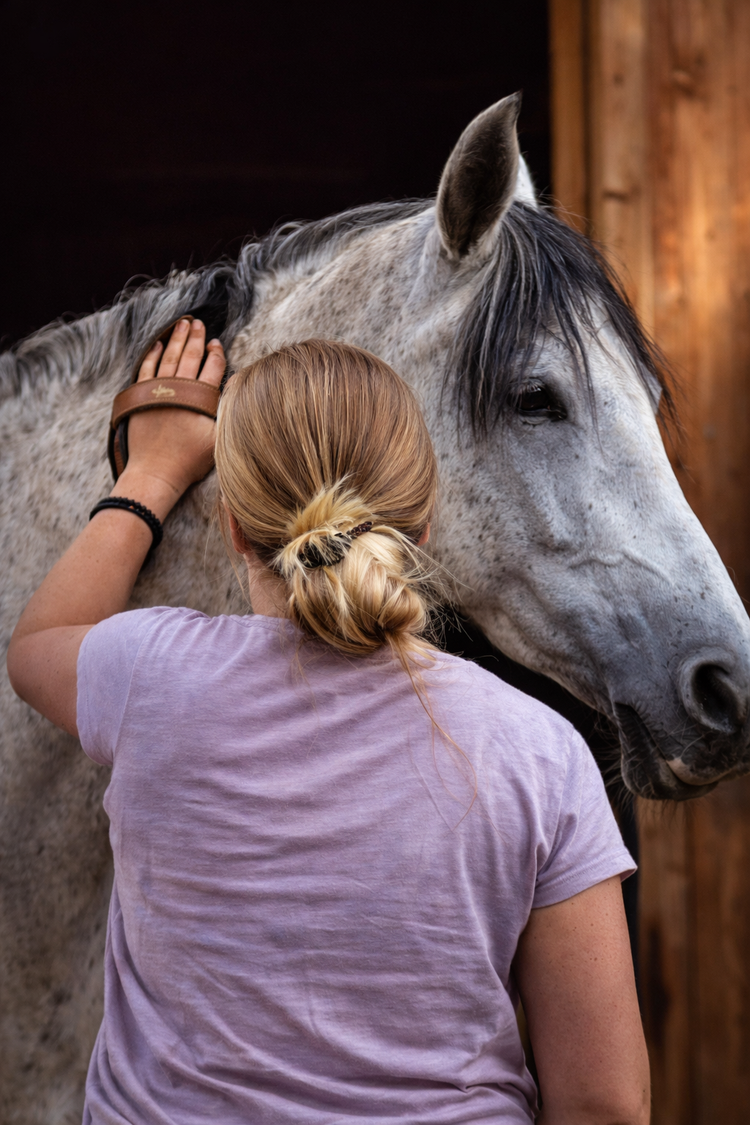 Cuidado del Caballo
